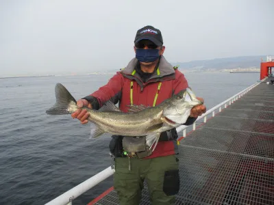 尼崎市立魚つり公園の2022年3月9日(水)2枚目の写真