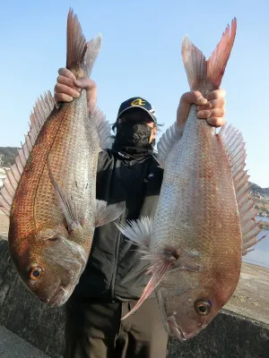 上野渡船の2022年3月10日(木)1枚目の写真