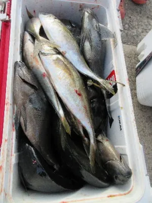 中山総合釣センター・海遊の2022年3月9日(水)2枚目の写真