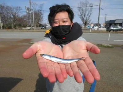 鈴木釣具店の2022年3月9日(水)3枚目の写真