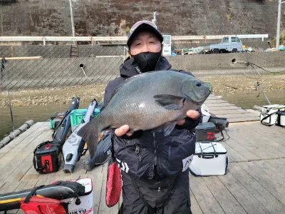 正丸の2022年3月9日(水)2枚目の写真