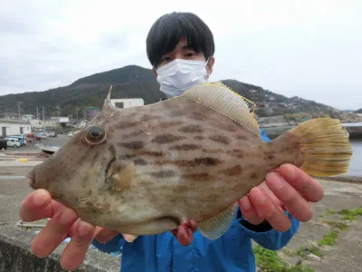 上野渡船の2022年3月23日(水)1枚目の写真