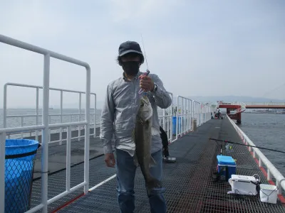 尼崎市立魚つり公園の2022年3月25日(金)1枚目の写真