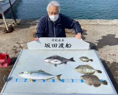 坂田渡船の2022年3月30日(水)3枚目の写真