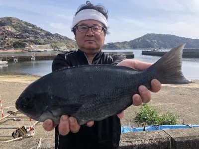 上野渡船の2022年4月6日(水)3枚目の写真