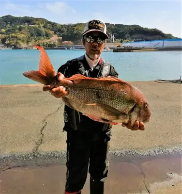 三重外湾漁協 錦事業所直営 釣り筏の2022年4月6日(水)1枚目の写真
