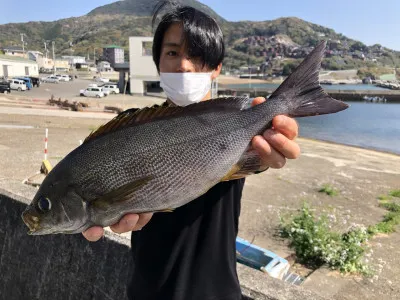 上野渡船の2022年4月8日(金)1枚目の写真