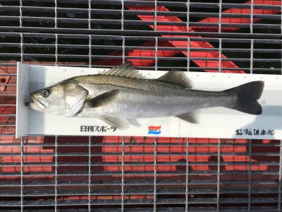 尼崎市立魚つり公園の2022年4月13日(水)4枚目の写真