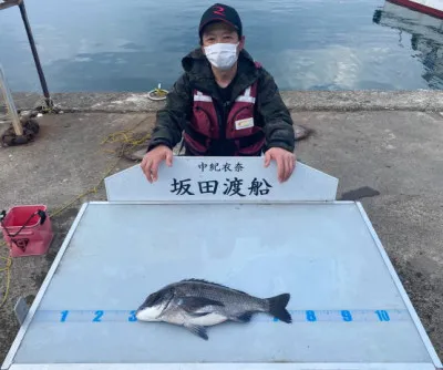 坂田渡船の2022年4月13日(水)1枚目の写真