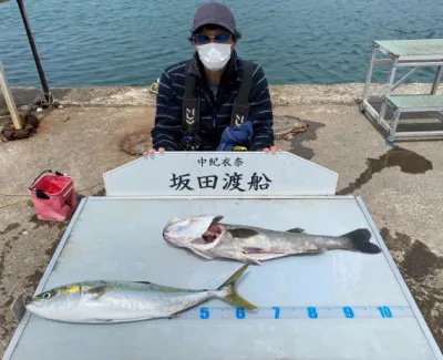 坂田渡船の2022年4月19日(火)3枚目の写真