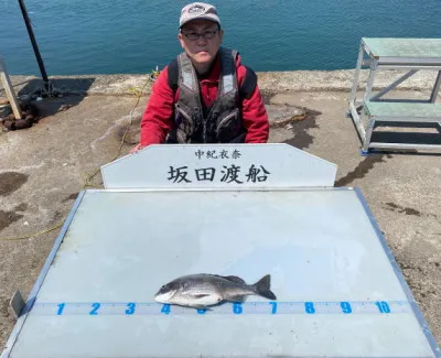 坂田渡船の2022年4月20日(水)1枚目の写真