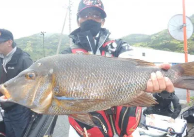 丸銀釣りセンターの2022年4月23日(土)3枚目の写真