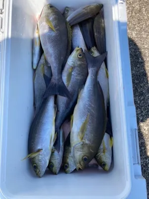 釣り船 黒潮丸の2022年5月4日(水)1枚目の写真