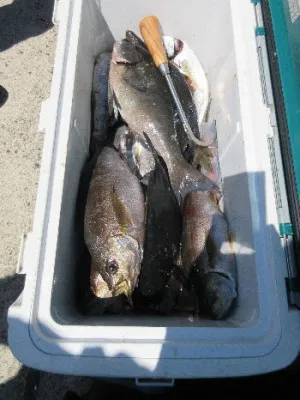 中山総合釣センター・海遊の2022年5月4日(水)4枚目の写真