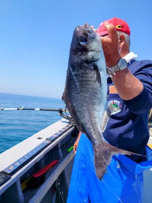 光海丸の2022年5月7日(土)2枚目の写真