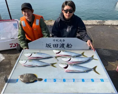 坂田渡船の2022年5月5日(木)4枚目の写真