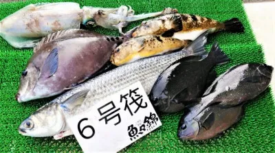 三重外湾漁協 錦事業所直営 釣り筏の2022年5月7日(土)2枚目の写真