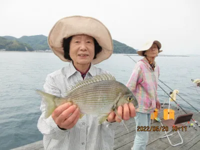 由良海つり公園&釣堀ランドの2022年5月20日(金)1枚目の写真