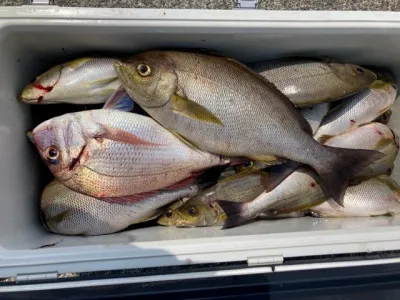 釣り船 黒潮丸の2022年5月23日(月)2枚目の写真