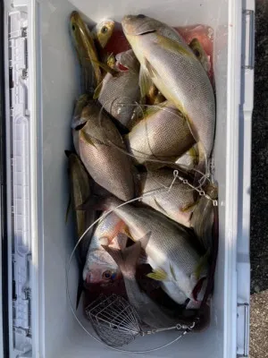 釣り船 黒潮丸の2022年5月25日(水)3枚目の写真