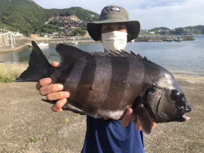 上野渡船の2022年5月29日(日)1枚目の写真