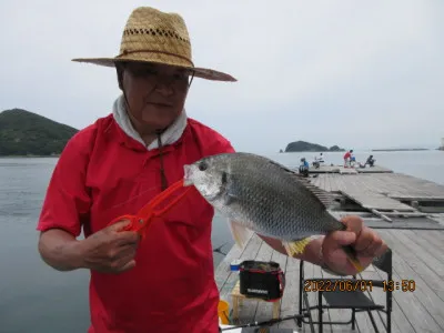 由良海つり公園&釣堀ランドの2022年6月1日(水)1枚目の写真