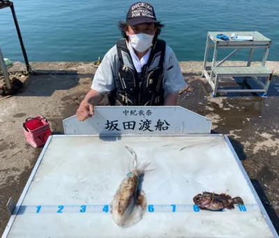 坂田渡船の2022年5月24日(火)3枚目の写真