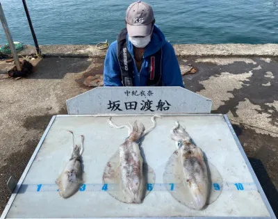 坂田渡船の2022年5月28日(土)5枚目の写真