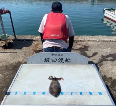 坂田渡船の2022年6月2日(木)2枚目の写真