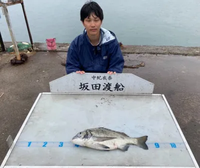 坂田渡船の2022年6月5日(日)4枚目の写真