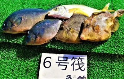 三重外湾漁協 錦事業所直営 釣り筏の2022年5月29日(日)2枚目の写真