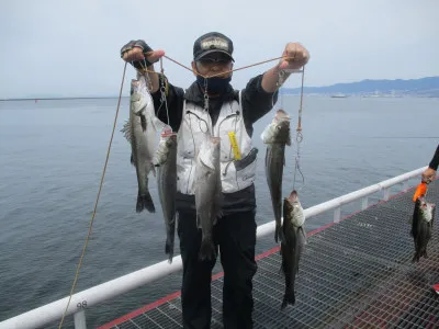 尼崎市立魚つり公園の2022年6月13日(月)2枚目の写真