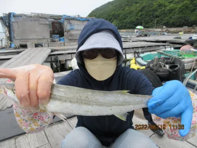 由良海つり公園&釣堀ランドの2022年6月19日(日)3枚目の写真