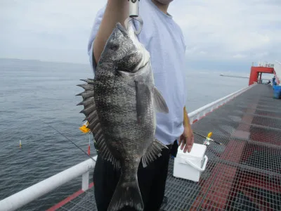 尼崎市立魚つり公園の2022年6月23日(木)1枚目の写真