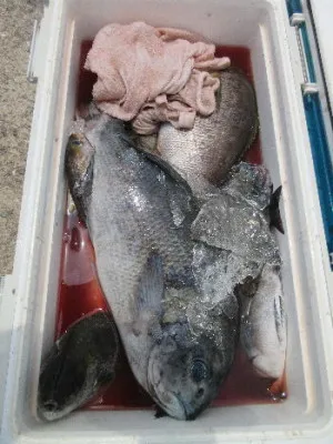 中山総合釣センター・海遊の2022年6月12日(日)3枚目の写真