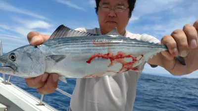 第三飛翔の2022年6月26日(日)3枚目の写真