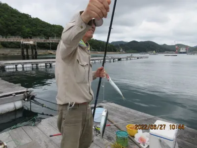 由良海つり公園&釣堀ランドの2022年6月27日(月)3枚目の写真
