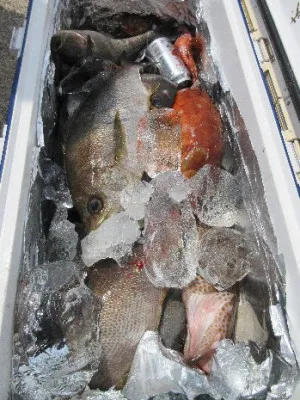 中山総合釣センター・海遊の2022年7月2日(土)1枚目の写真