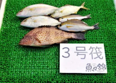 三重外湾漁協 錦事業所直営 釣り筏の2022年6月17日(金)3枚目の写真