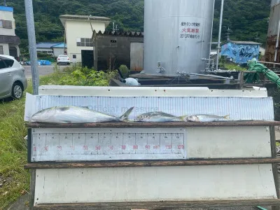 大島フィッシングの2022年7月9日(土)4枚目の写真