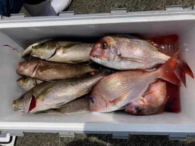 釣り船 黒潮丸の2022年7月11日(月)2枚目の写真