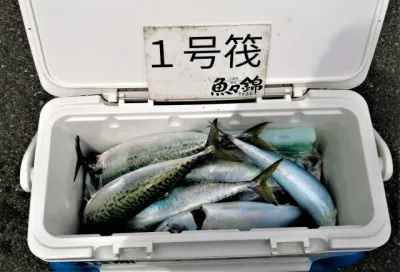 三重外湾漁協 錦事業所直営 釣り筏の2022年7月10日(日)3枚目の写真