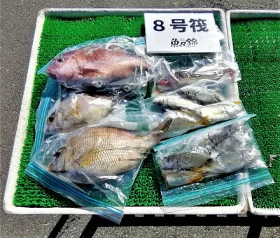 三重外湾漁協 錦事業所直営 釣り筏の2022年7月23日(土)4枚目の写真