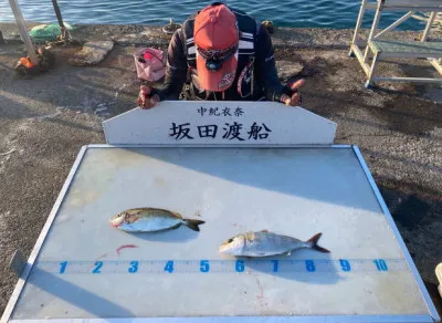 坂田渡船の2022年7月23日(土)5枚目の写真