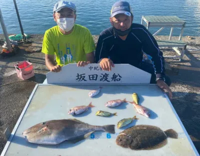 坂田渡船の2022年7月28日(木)2枚目の写真