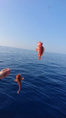 ちどり丸の2022年8月5日(金)5枚目の写真