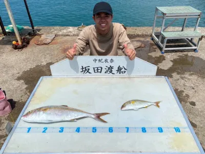 坂田渡船の2022年8月6日(土)5枚目の写真