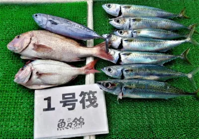 三重外湾漁協 錦事業所直営 釣り筏の2022年8月18日(木)1枚目の写真