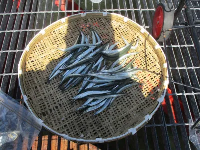 尼崎市立魚つり公園の2022年9月3日(土)2枚目の写真