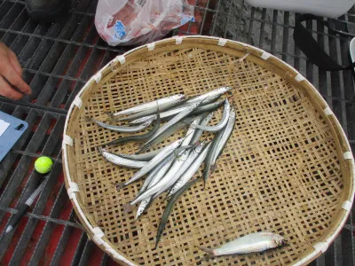 尼崎市立魚つり公園の2022年9月7日(水)1枚目の写真